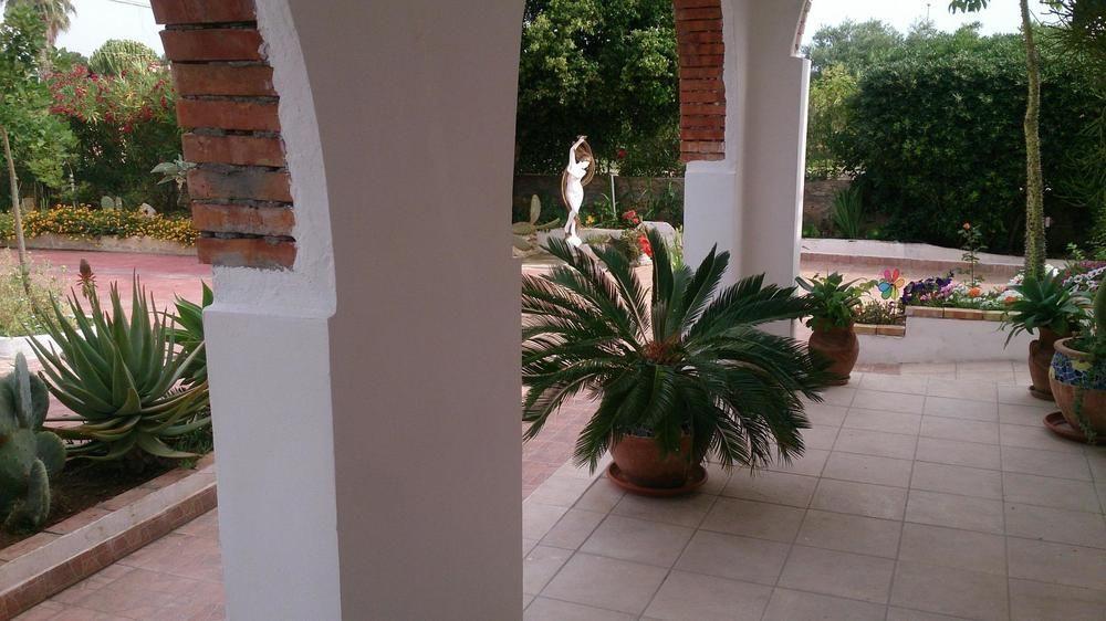 Il Mirto E La Rosa Bed & Breakfast Arenella  Dış mekan fotoğraf
